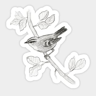 Goldcrest Sticker